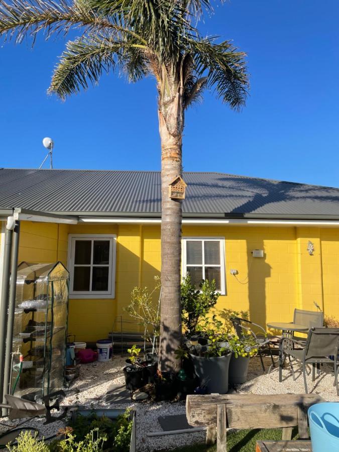 Ki Dragonfly Guesthouse Kingscote Exterior foto
