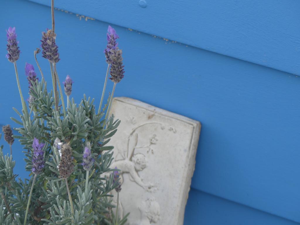 Ki Dragonfly Guesthouse Kingscote Exterior foto